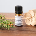 Load image into Gallery viewer, Forest Walk Organic Essential Oil Car Diffuser with Beechwood Flower and metal clip.