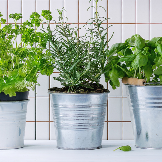 5 Ways to Instantly Refresh Your Space