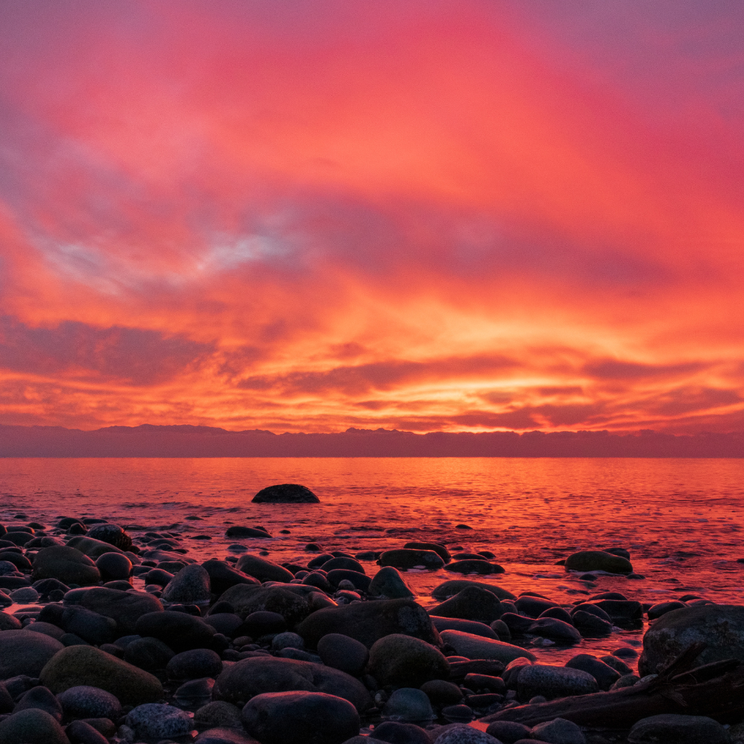 Celebrating Whidbey Summers