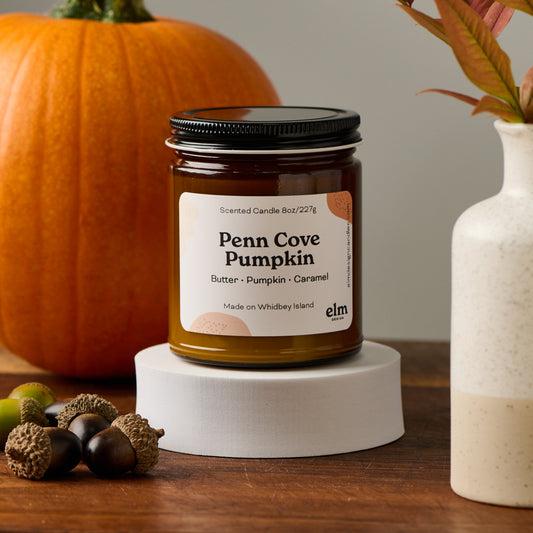 Elm Designs Penn Cove Pumpkin scented candle in an 8oz glass jar.