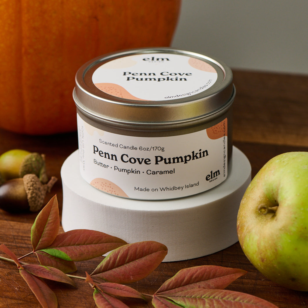 Elm Designs Penn Cove Pumpkin scented candle in a 6oz metal tin.