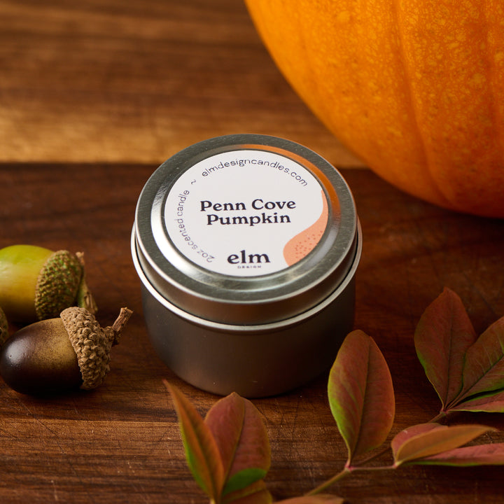 Elm Designs Penn Cove Pumpkin scented candle in a 2oz metal tin.